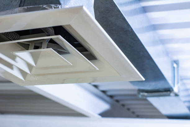 Best Air Duct Cleaning Near Me  in Forrest, IL
