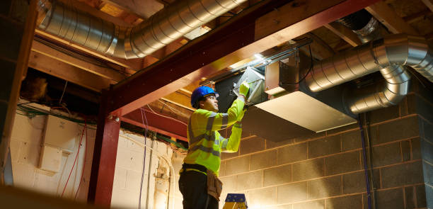 Best Affordable Duct Cleaning Services  in Forrest, IL