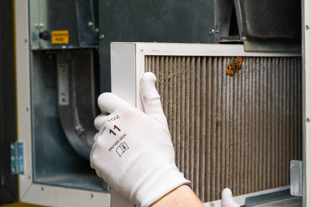 Best HVAC Duct Inspection Services  in Forrest, IL