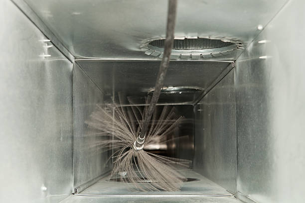 Best Professional Duct Cleaning Services  in Forrest, IL